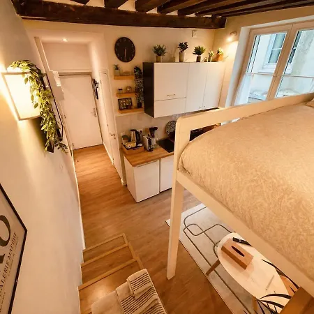 Charming Renovated Air Conditioned Studio, Pantheon, Notre Dame Lägenhet